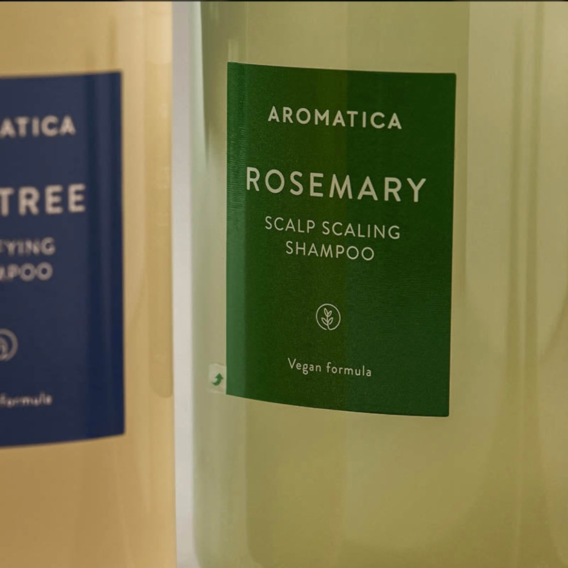 Aromatica -Desquamation du cuir chevelu au romarin- Shampoing Korean Beauty & Healthy LTD
