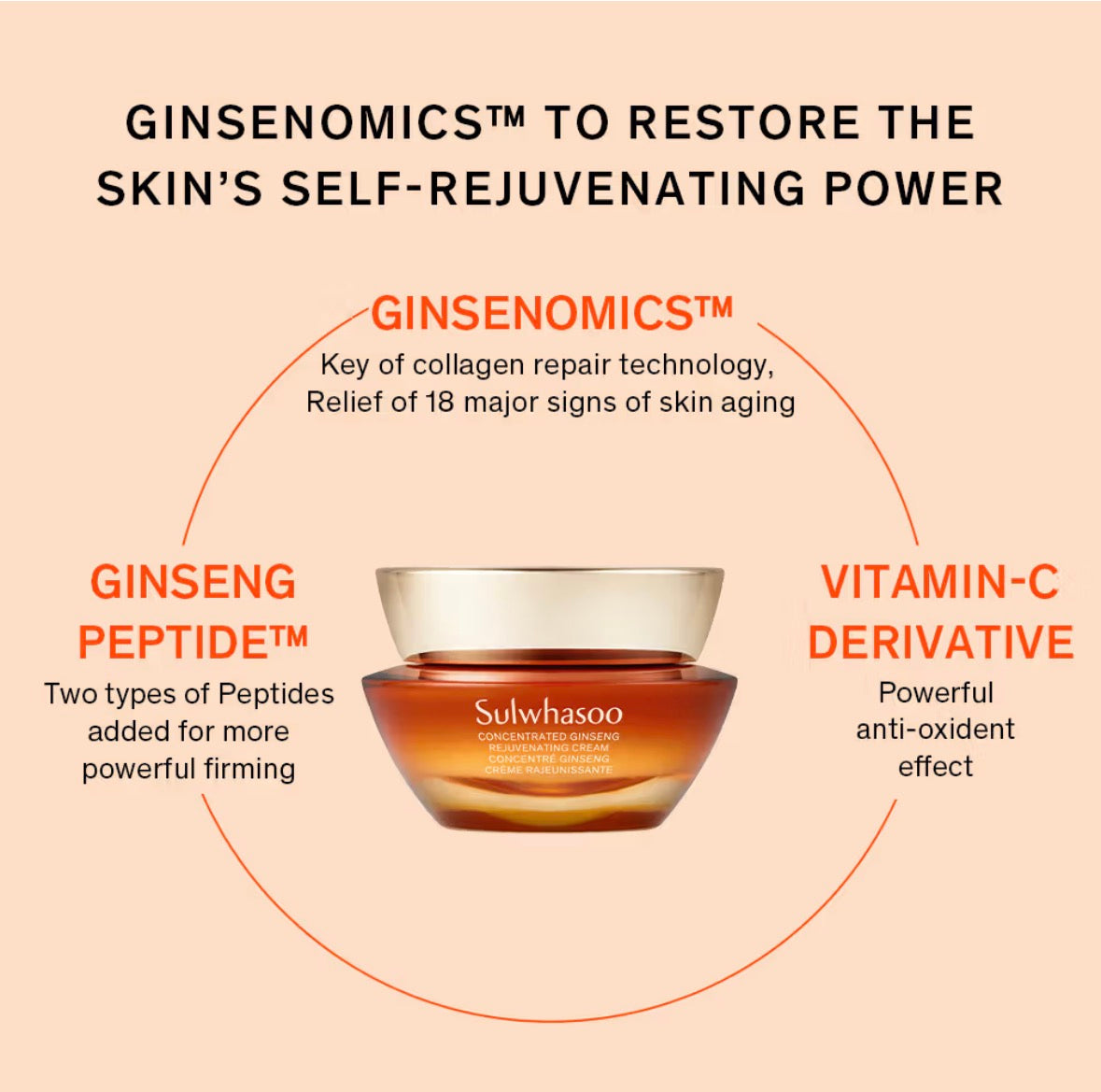 Sulwhasoo - Crème rajeunissante concentrée au ginseng My Korean BeautyKorean skincare Glow up
