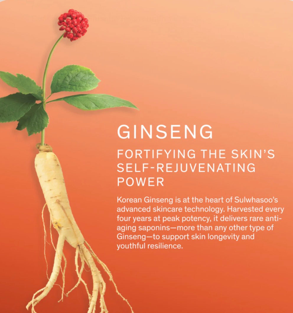 Sulwhasoo - Concentrated Ginseng Renewing Serum EX - Sérum My Korean BeautyKorean skincare Glow up
