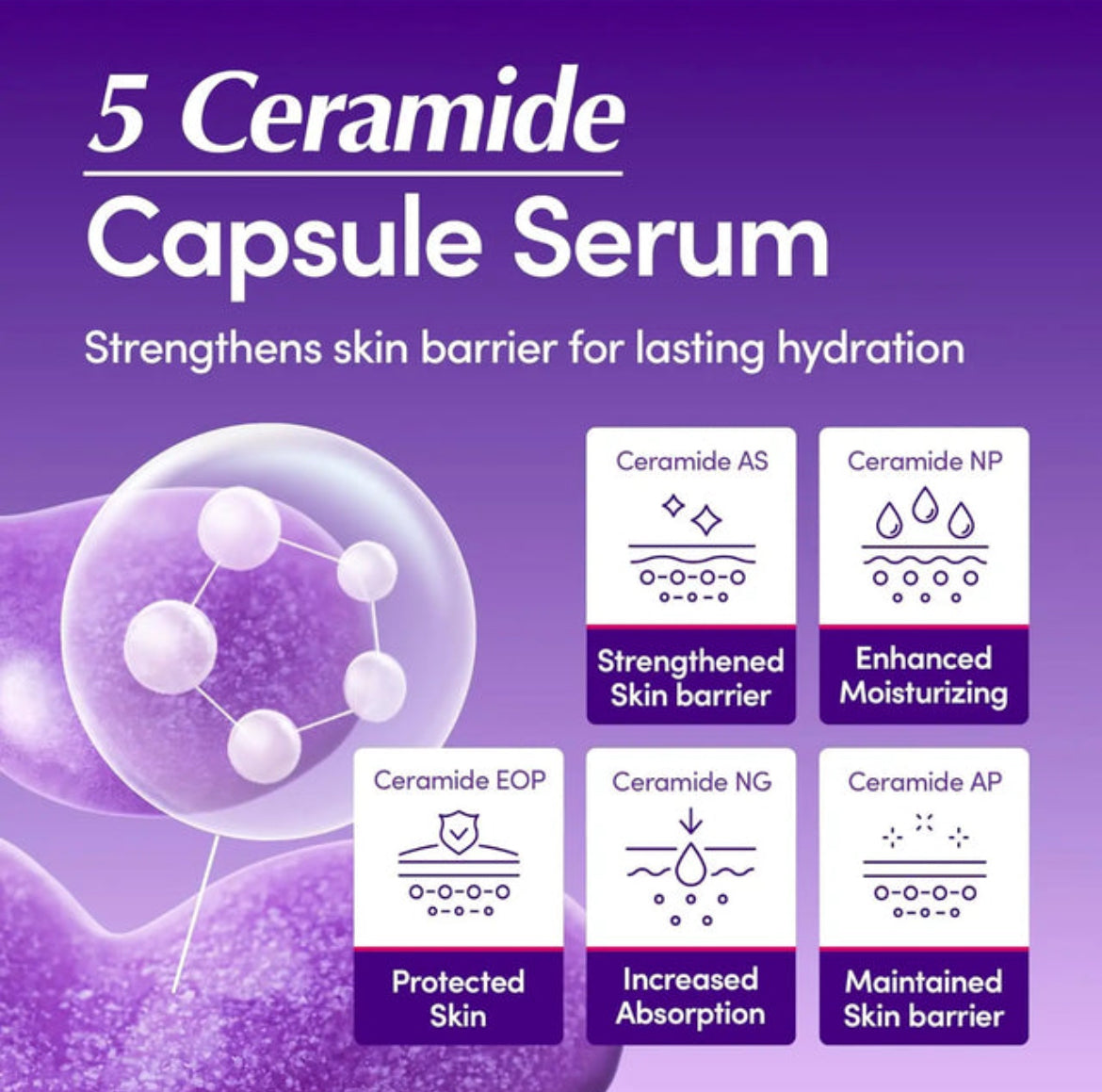 EQQUALBERRY Bakuchiol Plumping Serum My Korean BeautyKorean skincare Glow up